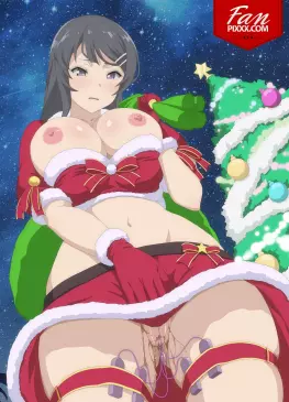 Sakurajima Mai Wet Christmas