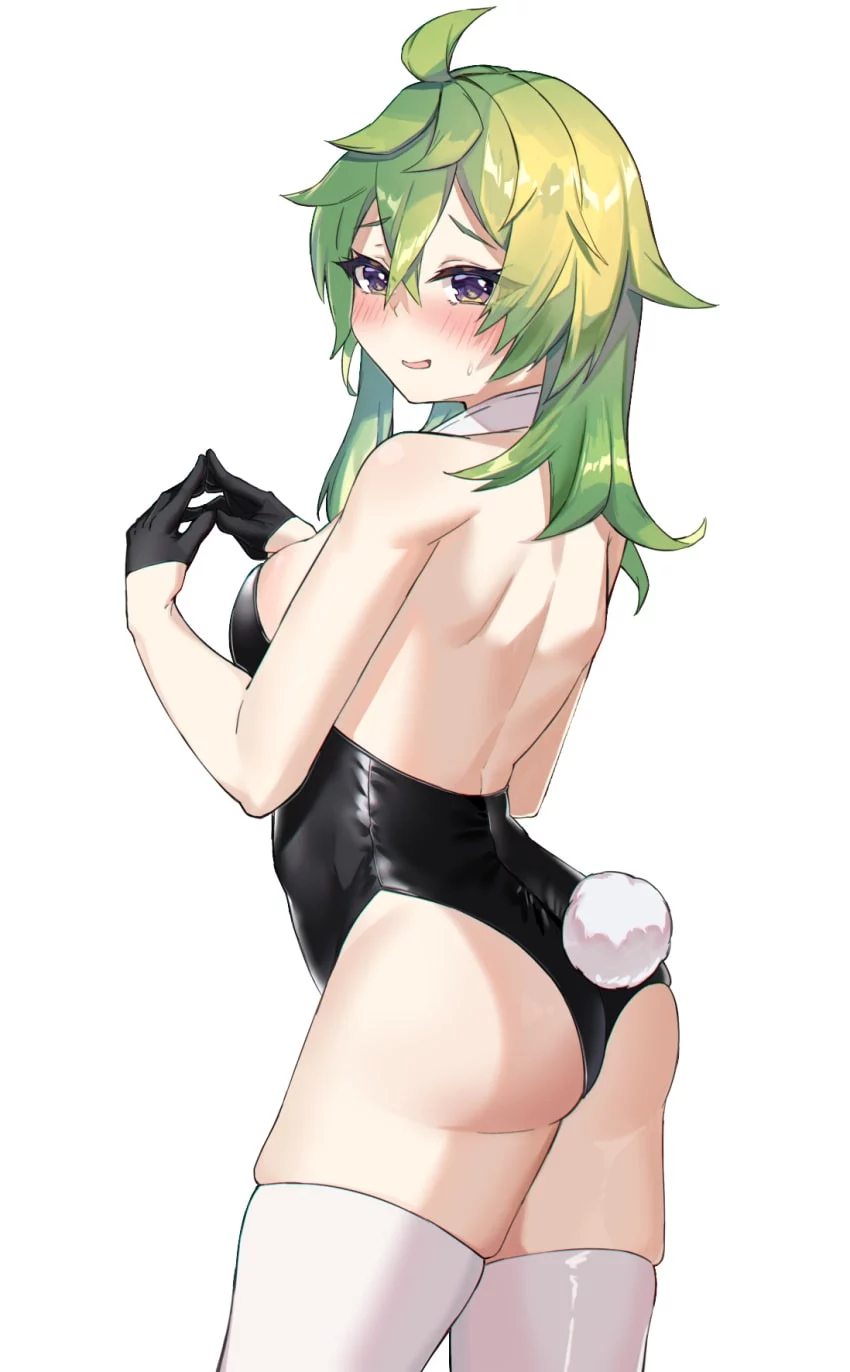 Collei Hentai | Genshin Impact Hentai 34 Collei Hentai | Genshin Impact Hentai 33
