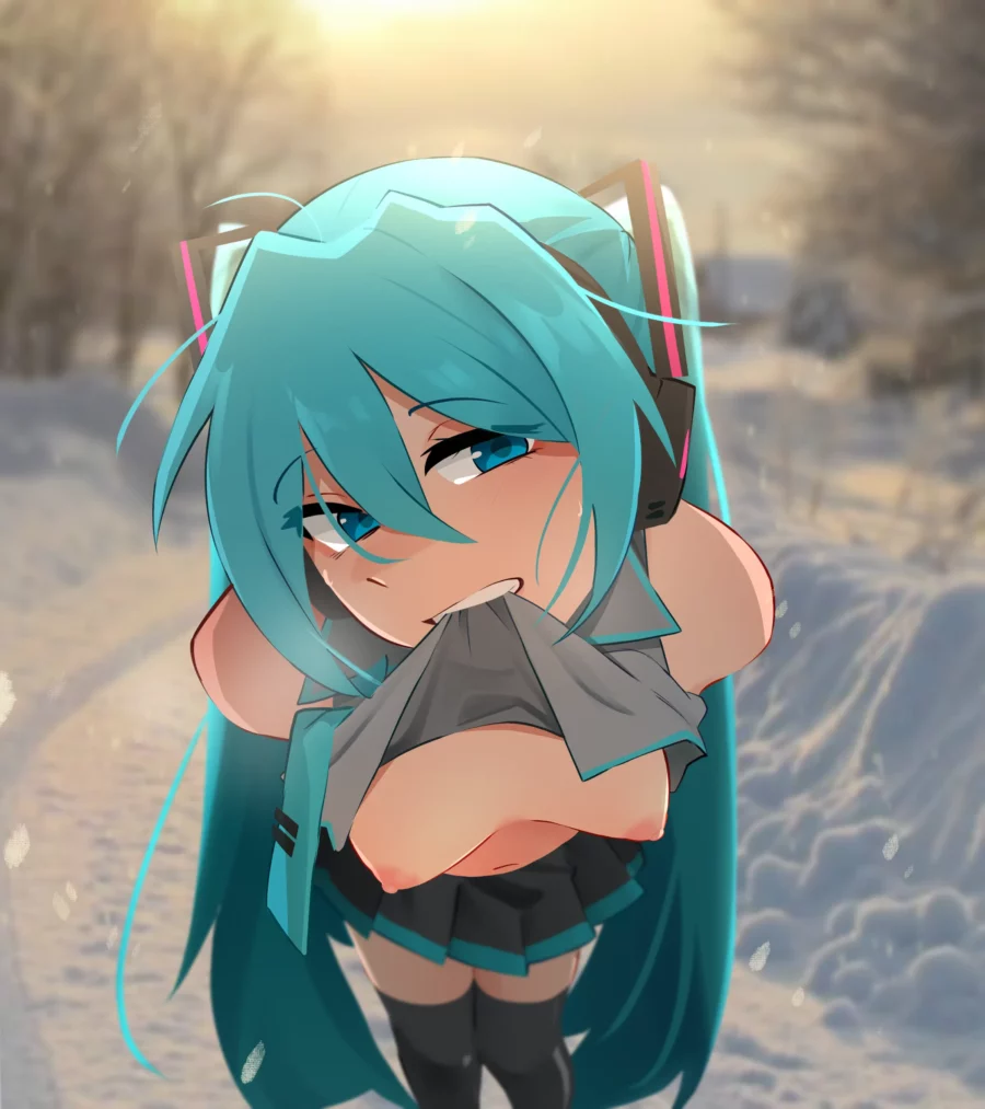 Hatsune Miku Winter Flash by Khyleri - Vocaloid